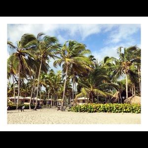 Meet your Posher, Cam